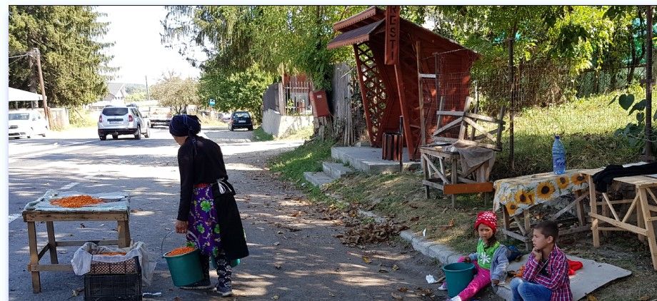 ..the means of survival in Viperești