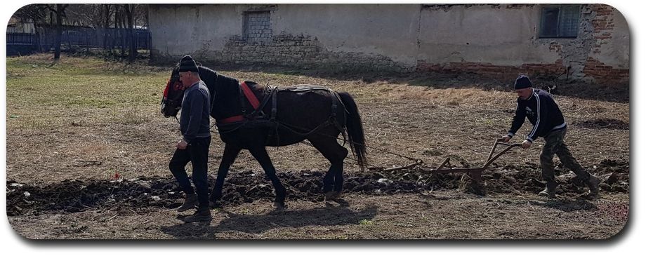 ..rudimentary field work