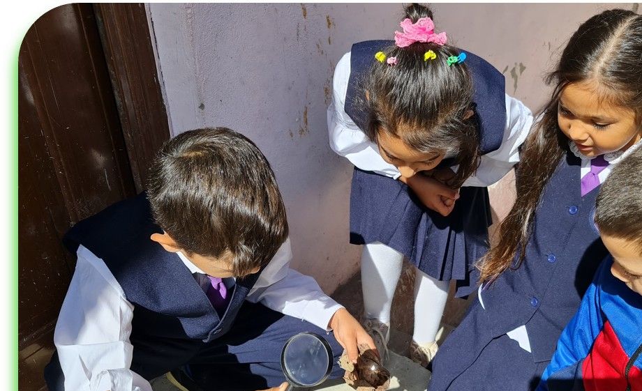 ..experience the power of sunlight focused through a magnifying glass on a dry leaf