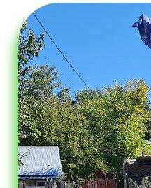 ...experience with a small parachute